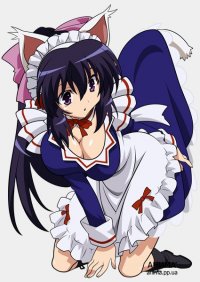    / Omamori Himari / Protective Charm Himari  