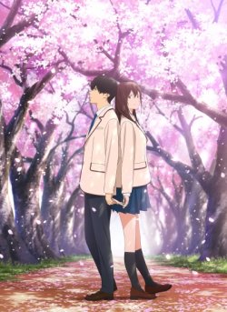      / Kimi no Suizou wo Tabetai