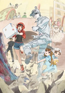   ! / [-1] / Hataraku Saibou