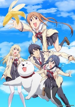  /   / Aho Girl