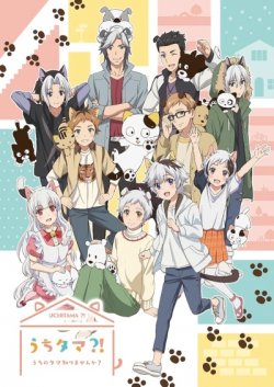  ?   ? / Uchi Tama?! Uchi no Tama Shirimasenka?