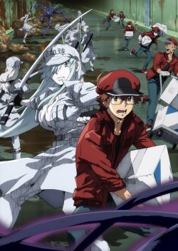   : Ҹ  /  : Ҹ  / Hataraku Saibou Black  