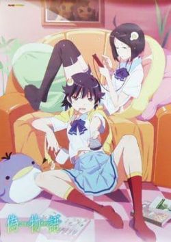   / Nisemonogatari  
