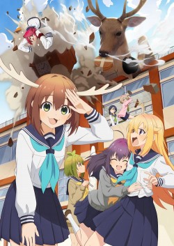  -,  / Shikanoko Nokonoko Koshitantan  